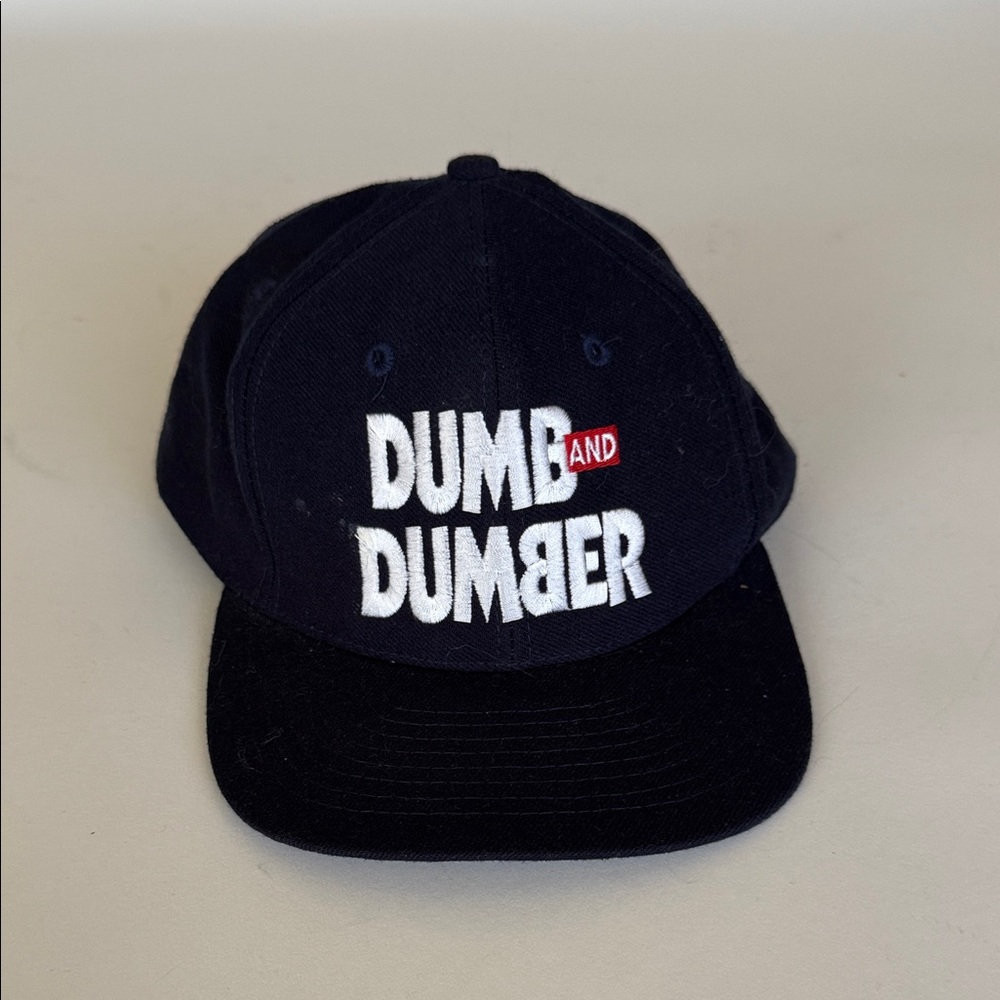 Dumb and Dumber Kids Black Embroidered Snapback Hat